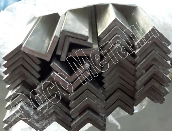 Угол нержавеющий холоднотянутый равнополочный AISI 304 10х10х2 — фото 2